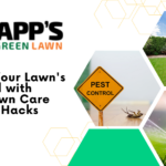 lawn-care-tips-and-hacks