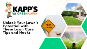lawn-care-tips-and-hacks