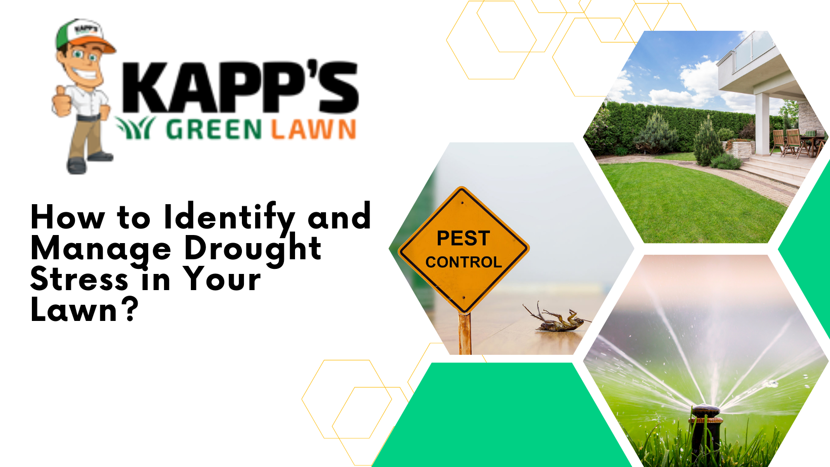 Manage Drought Stress in Your Lawn Kapp's Green Lawn