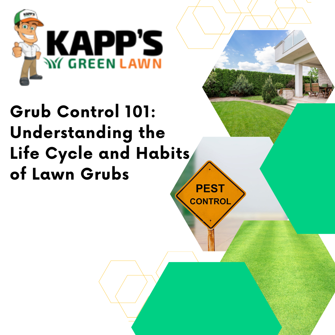 Grub Control 101: A Guide to Lawn Grub Prevention & Treatment | Kapp's ...