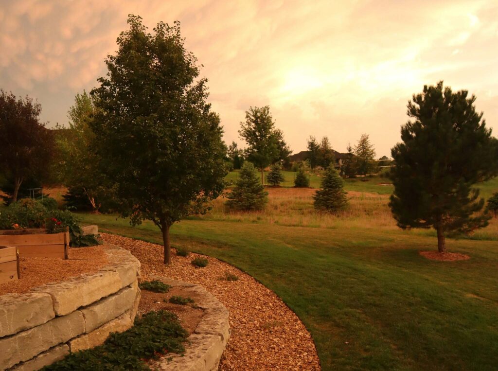 A backyard of a lawn that has green grass, rock and wood chip gardens, and trees against a sunset