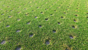 Close-up of aeration holes on a well-maintained golf course