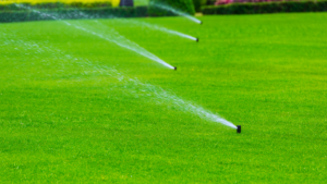 A row of sprinklers spraying water onto a green lawn