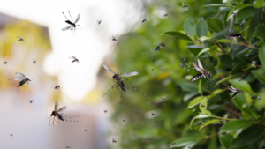 A swarm of mosquitoes flying near a house