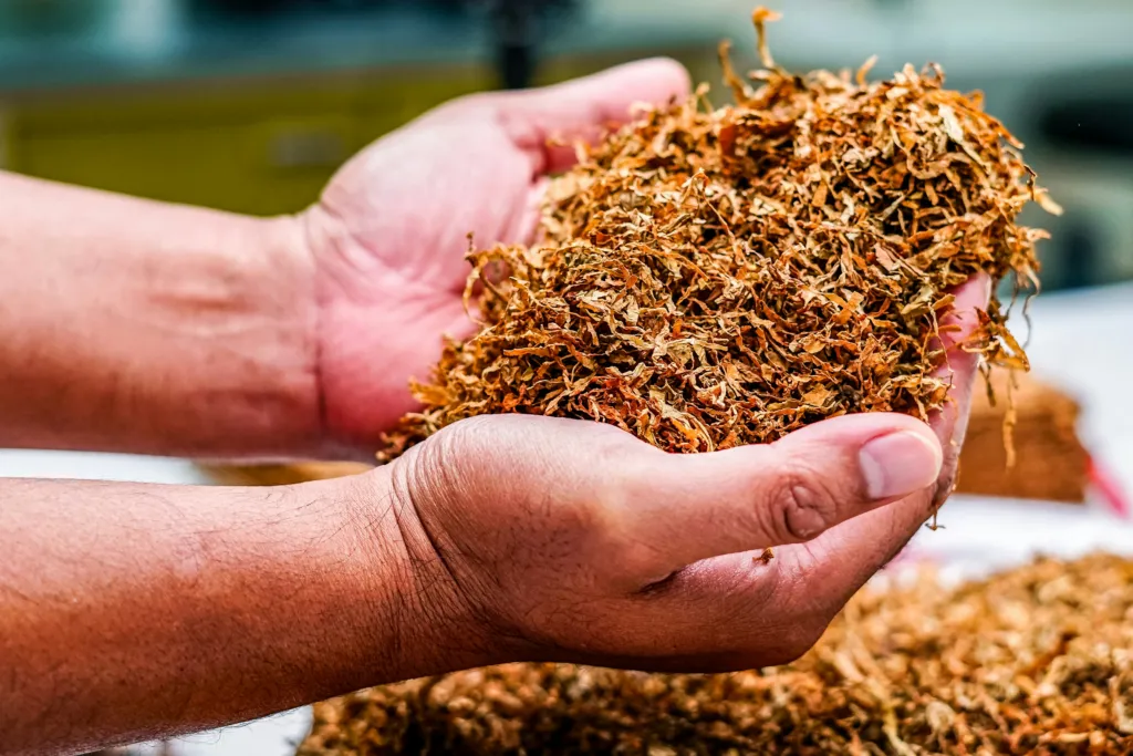 Midwest Yards: What Is Mulch & What Is It Used For? 