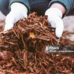 Midwest Yards: What Is Mulch & What Is It Used For? 