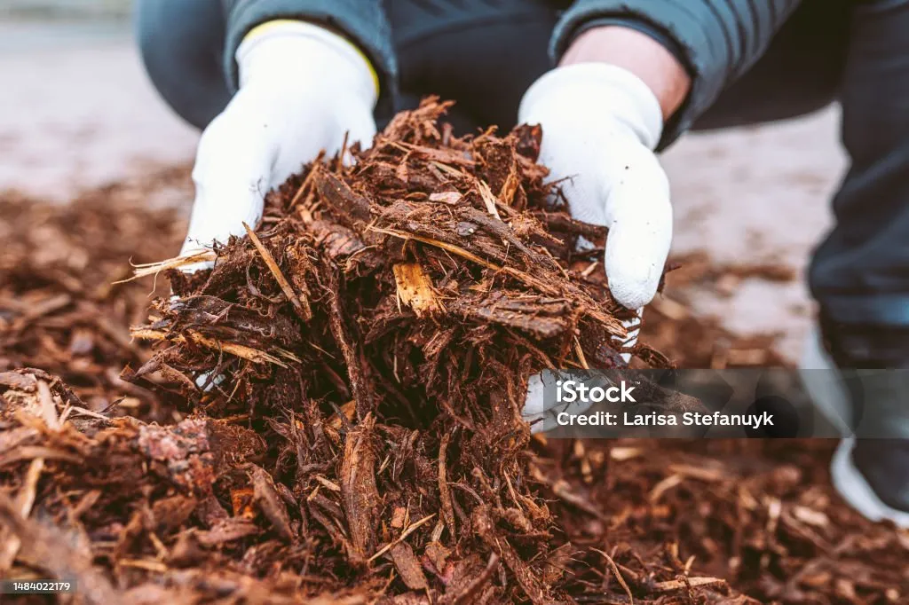 Midwest Yards: What Is Mulch & What Is It Used For? 