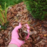 Is Raking or Mulching Leaves Better for Your Lawn?